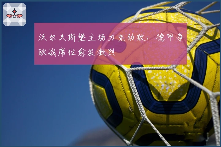 沃尔夫斯堡主场力克劲敌，德甲争欧战席位愈发激烈