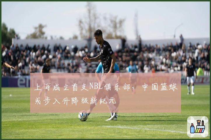 上海成立首支NBL俱乐部，中国篮球或步入升降级新纪元