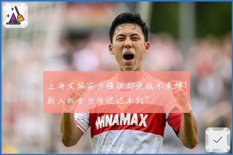 上海女排实力强劲却受战术束缚!新人机会为何迟迟未到?