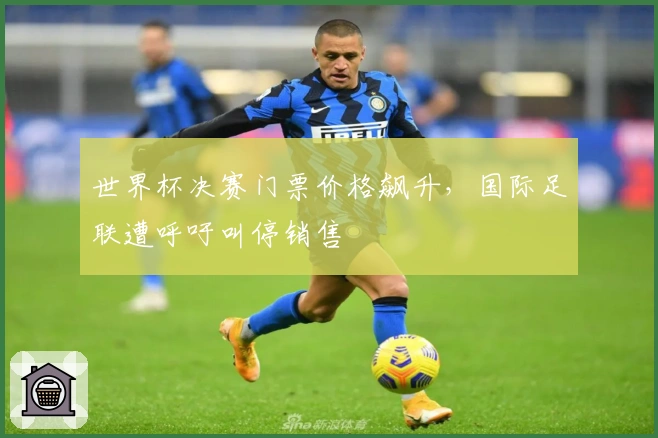 世界杯决赛门票价格飙升，国际足联遭呼吁叫停销售